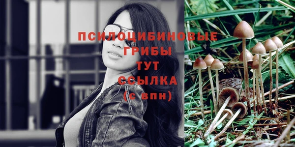 Альфа ПВП Баксан